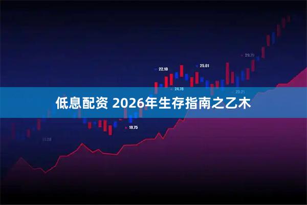 低息配资 2026年生存指南之乙木
