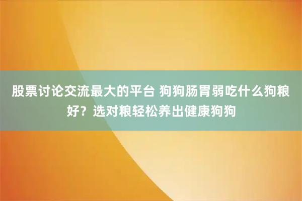 股票讨论交流最大的平台 狗狗肠胃弱吃什么狗粮好?选对粮轻松养出健康狗狗